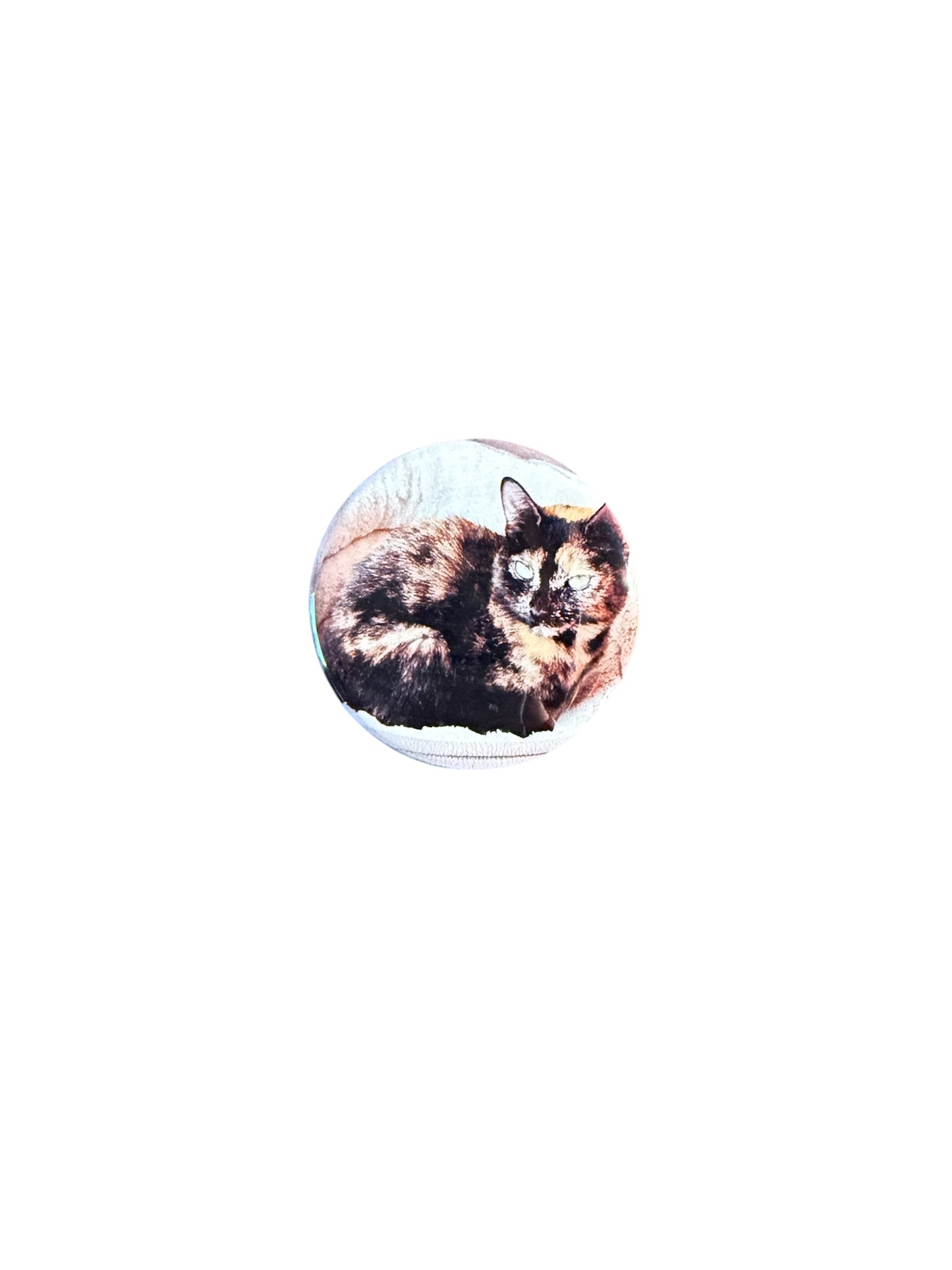 Jazzy- 2.25" Round Magnet