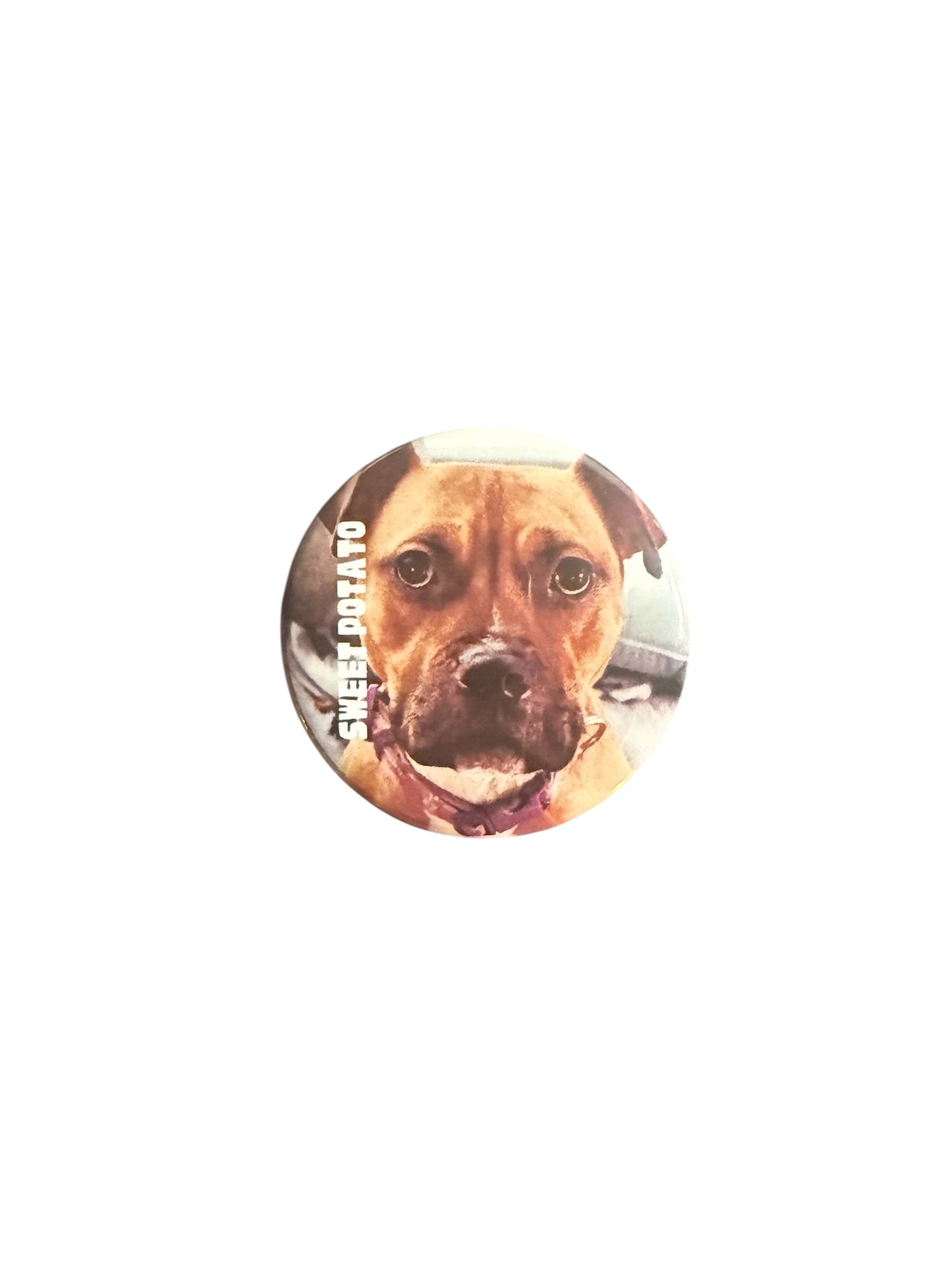 Sweet Potato -2.25" Round Magnet